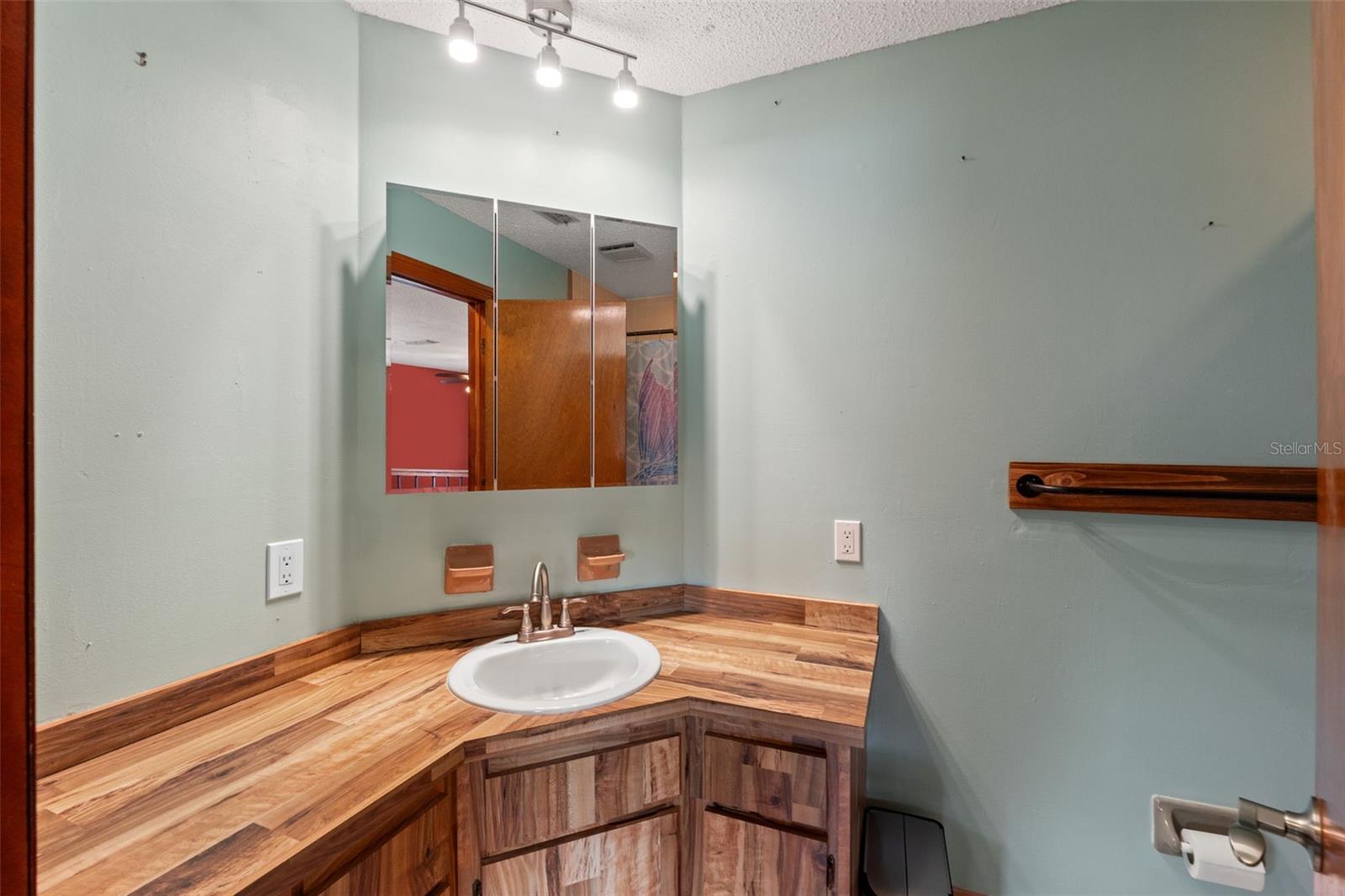 Listing photo id 23 for 1357 Dinsmore Court