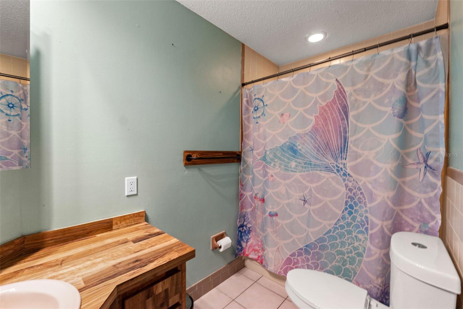 Listing photo id 24 for 1357 Dinsmore Court