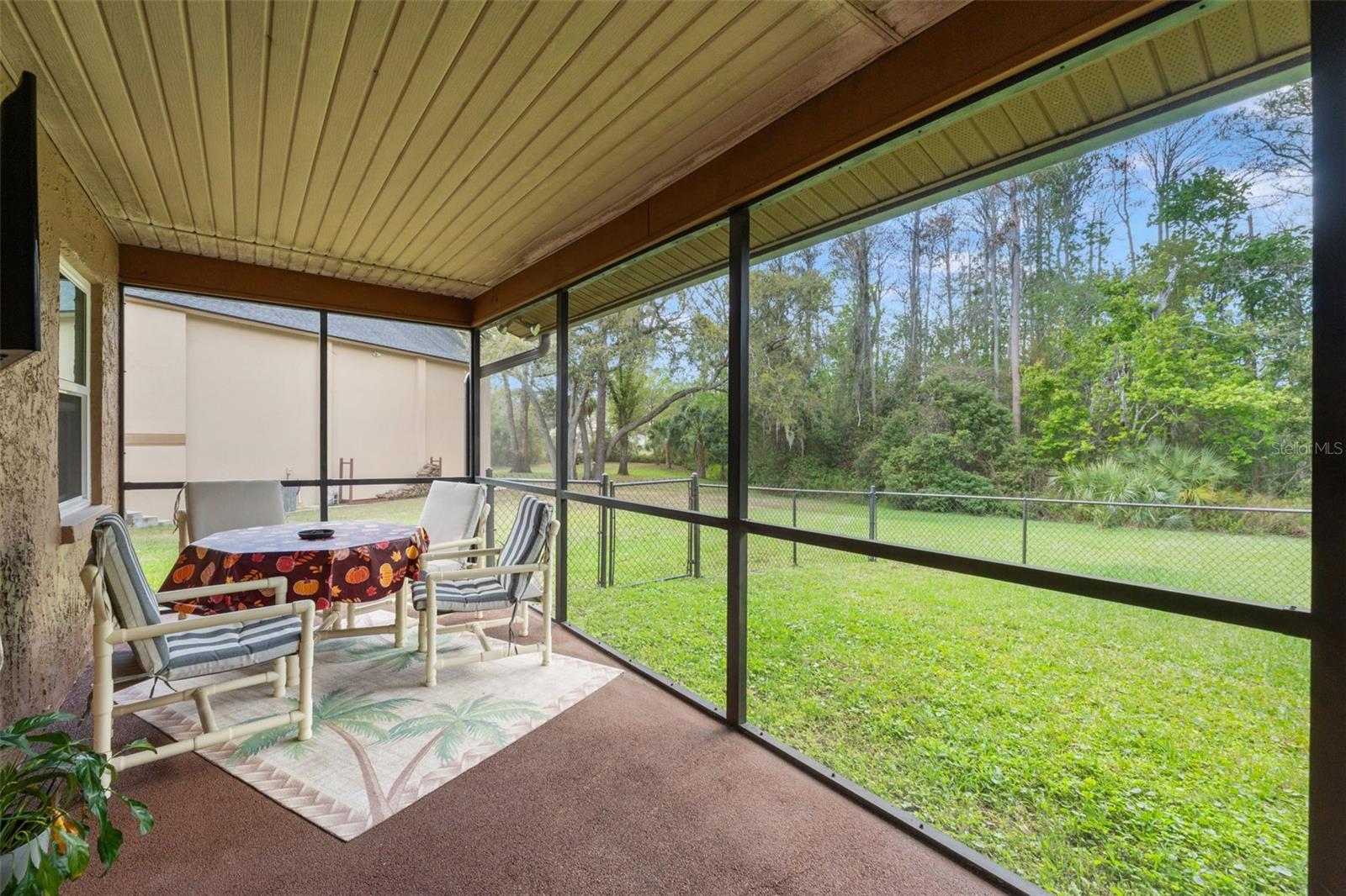 Listing photo id 41 for 1357 Dinsmore Court