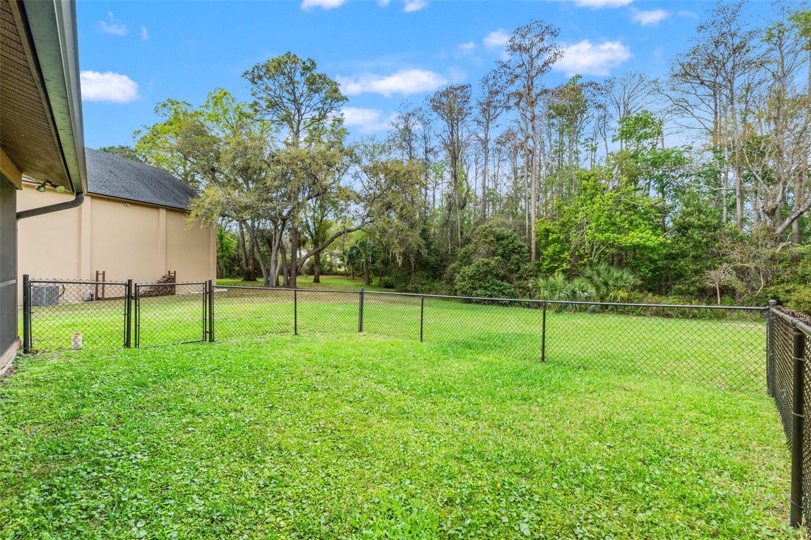 Listing photo id 45 for 1357 Dinsmore Court