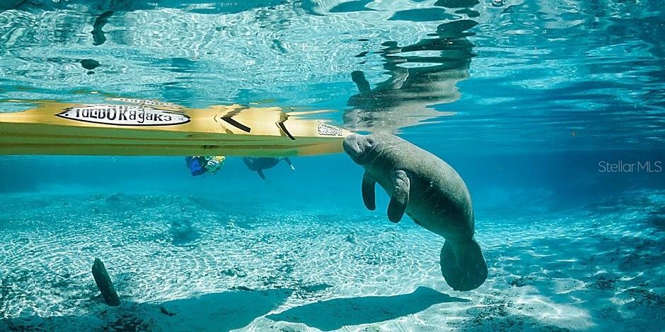 Image 98 of 100 For 1750 Westford Path