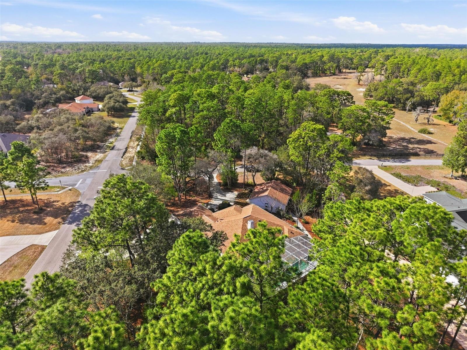 Image 45 of 47 For 3563 Blossom Drive