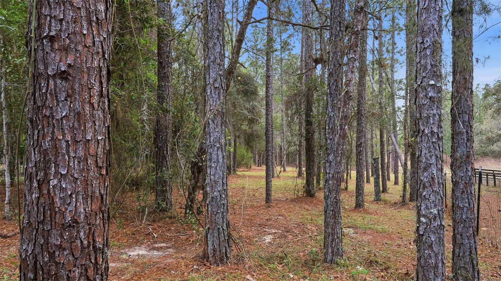 Image 70 of 84 For 12092 Hyacinth Point