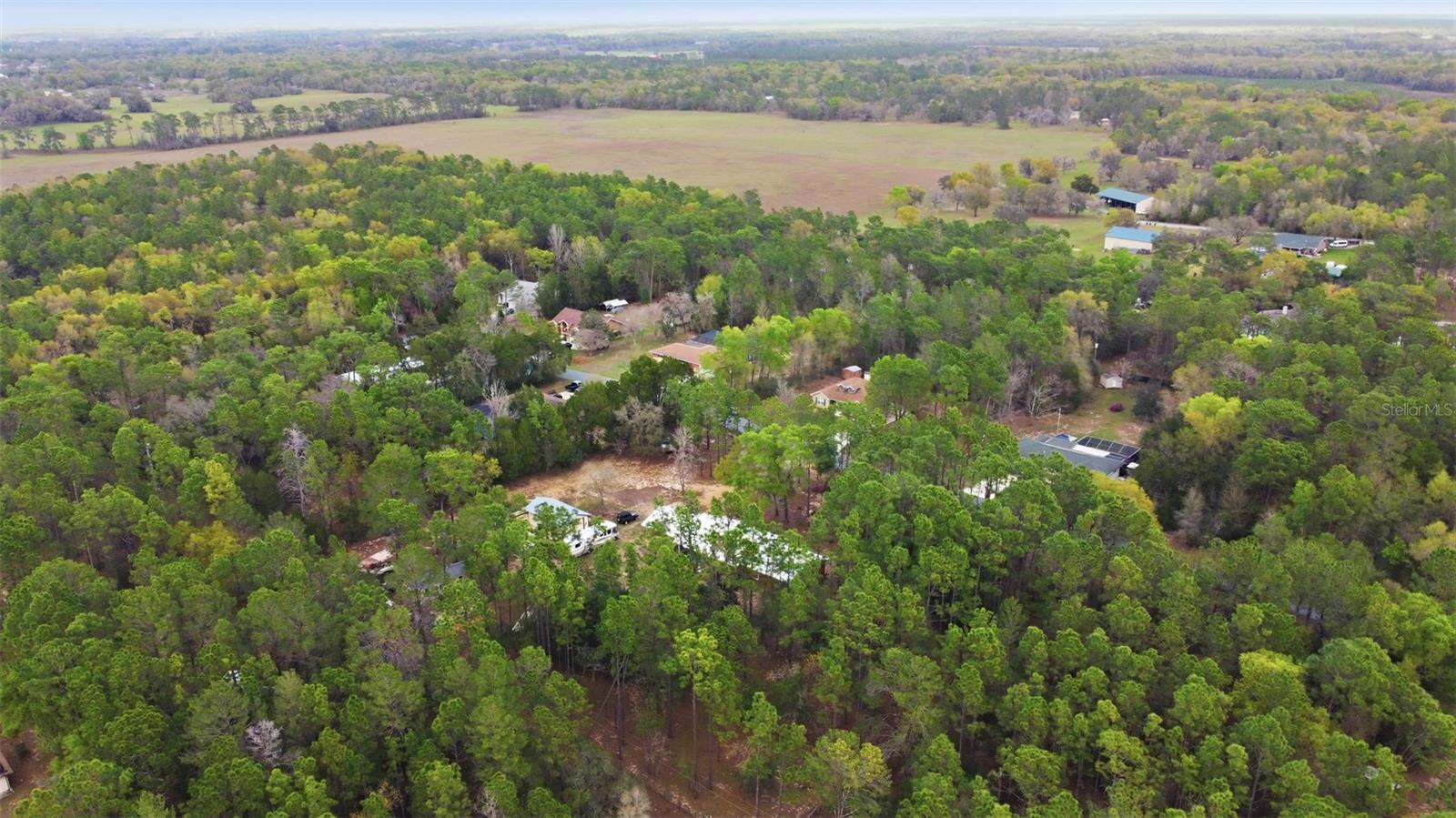 Image 81 of 84 For 12092 Hyacinth Point