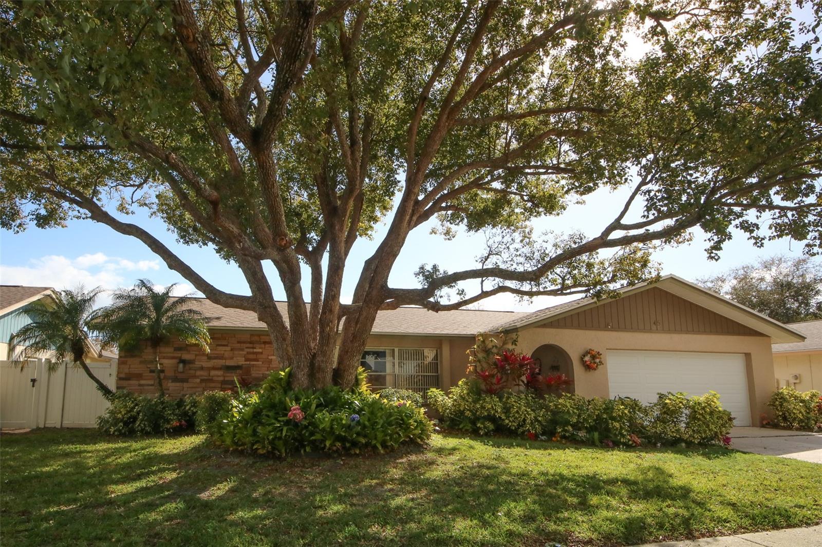 Details for 45 Turnstone Drive, SAFETY HARBOR, FL 34695