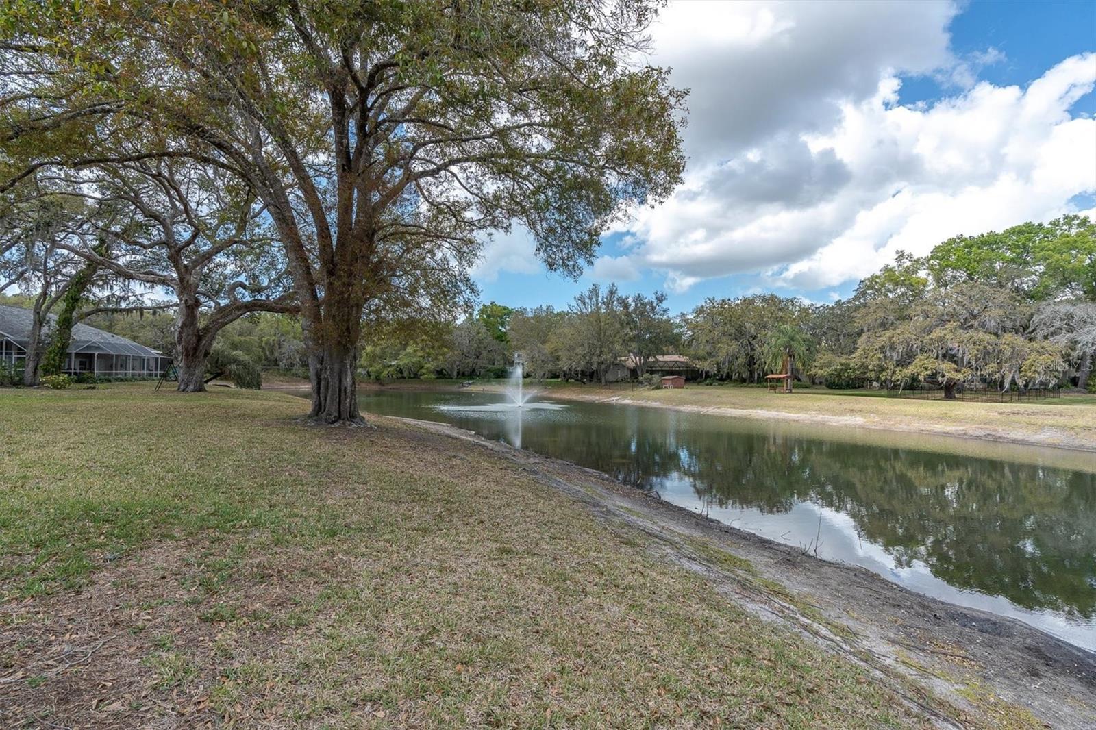 Listing photo id 41 for 8823 Crescent Forest Boulevard