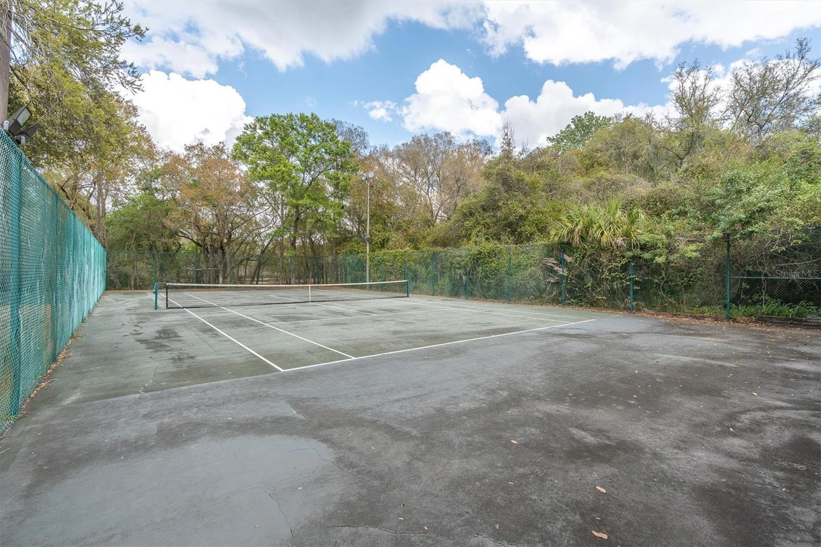 Listing photo id 52 for 8823 Crescent Forest Boulevard