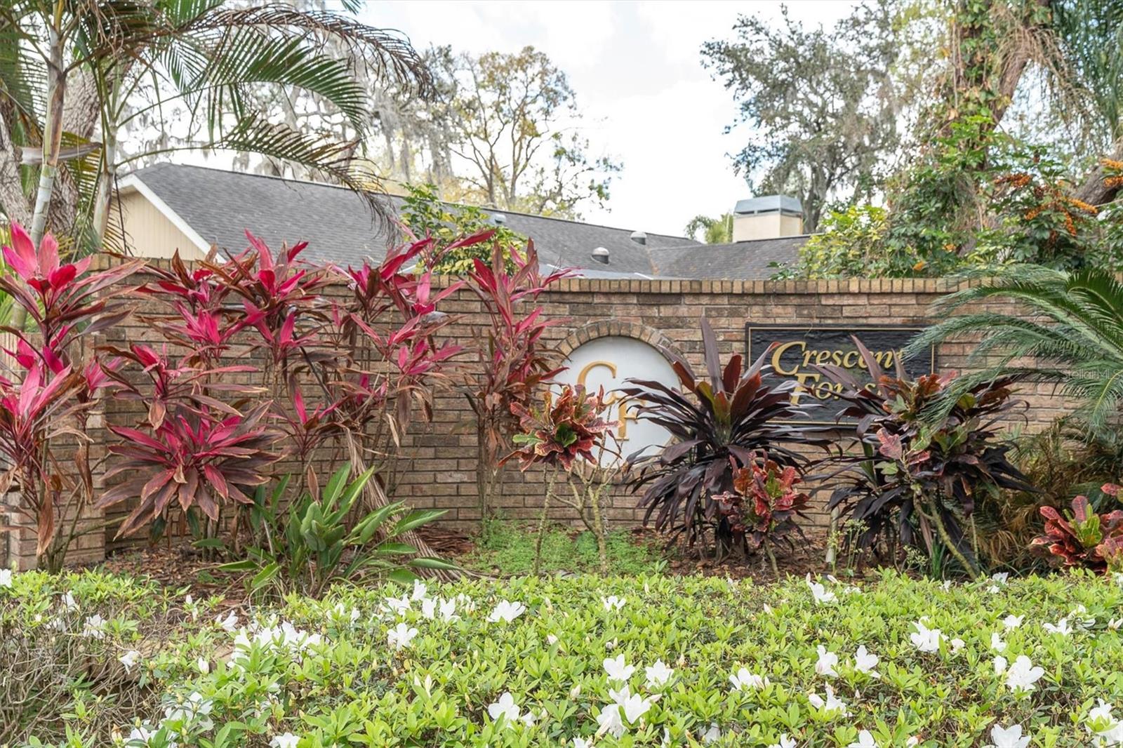 Listing photo id 53 for 8823 Crescent Forest Boulevard