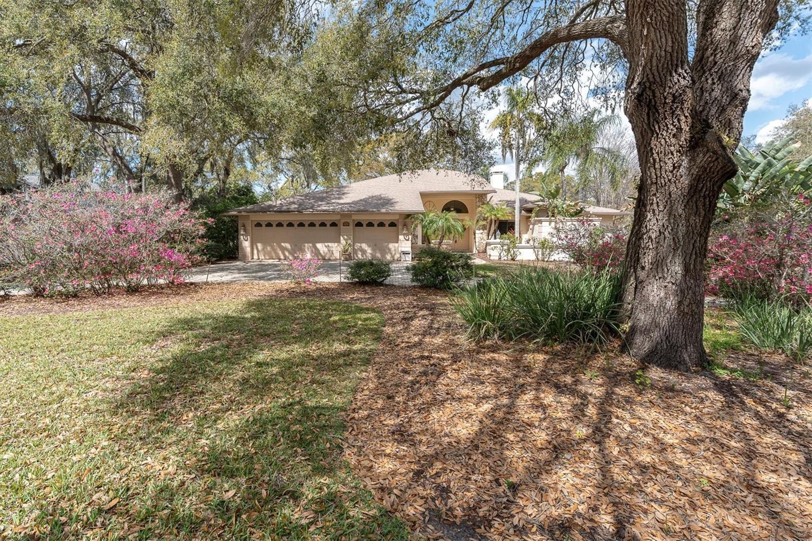 Listing photo id 55 for 8823 Crescent Forest Boulevard