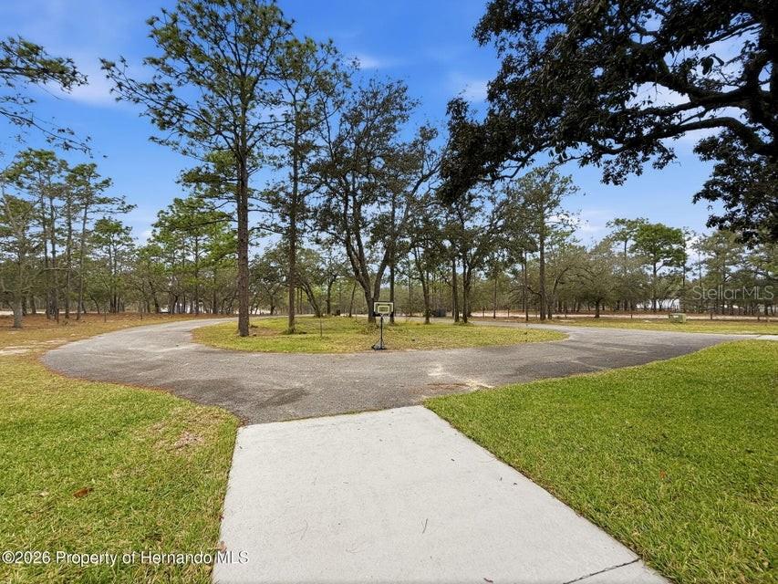 Listing photo id 4 for 12124 Squeeze Avenue