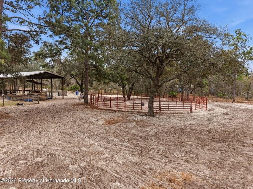 Listing photo id 60 for 12124 Squeeze Avenue