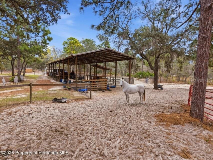 Listing photo id 61 for 12124 Squeeze Avenue