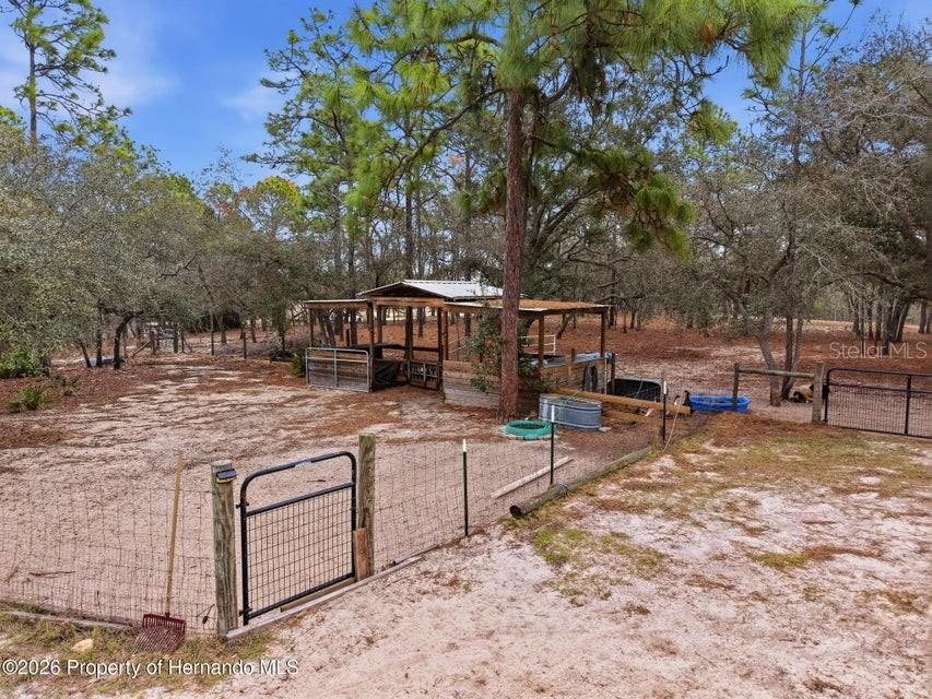 Listing photo id 66 for 12124 Squeeze Avenue