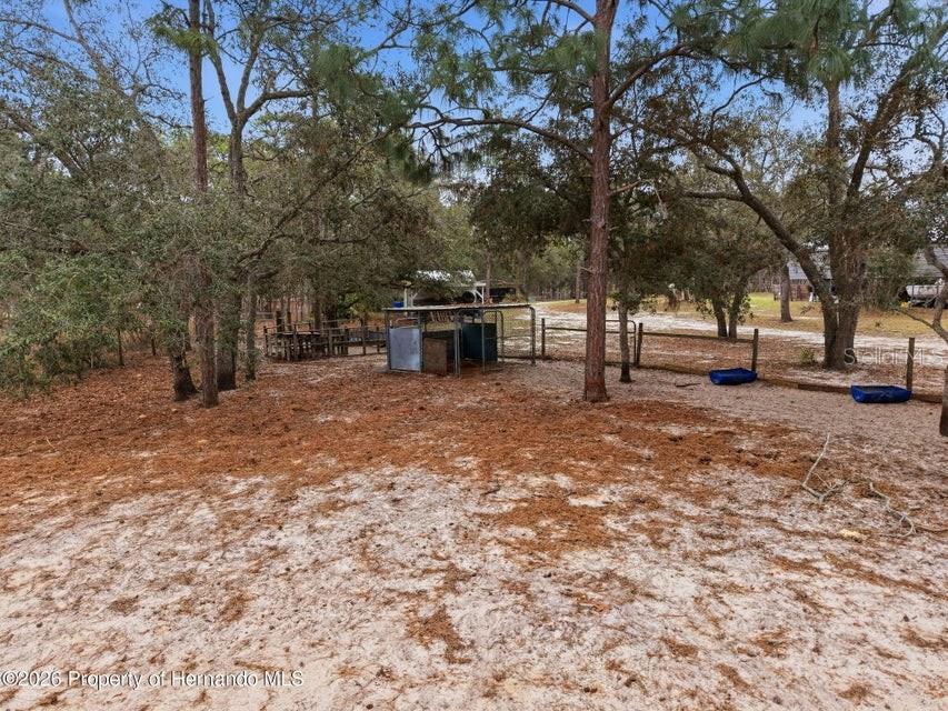 Listing photo id 67 for 12124 Squeeze Avenue