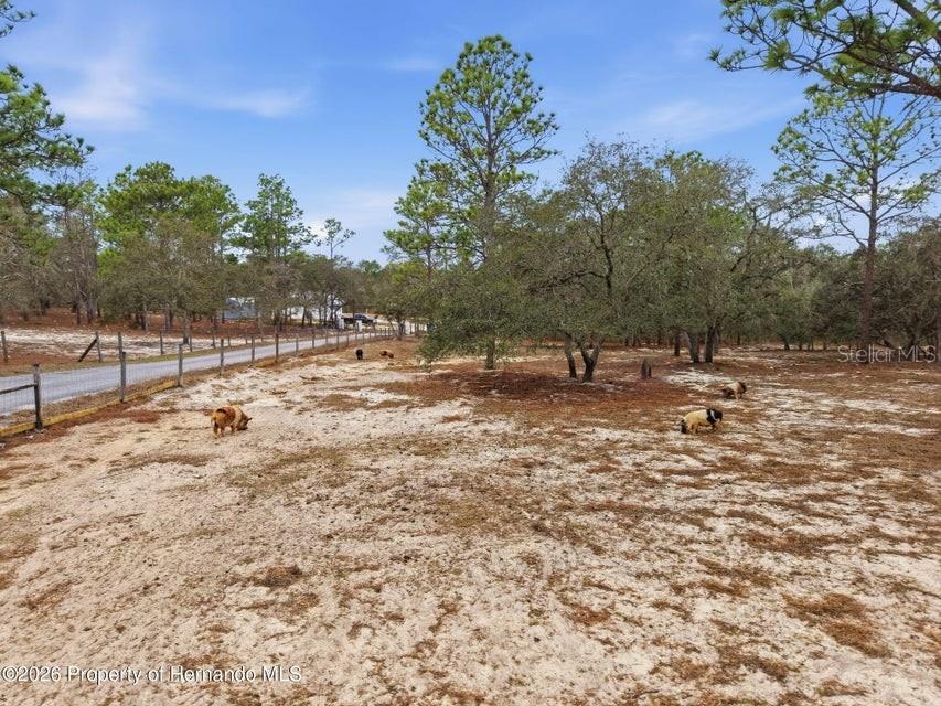 Listing photo id 68 for 12124 Squeeze Avenue