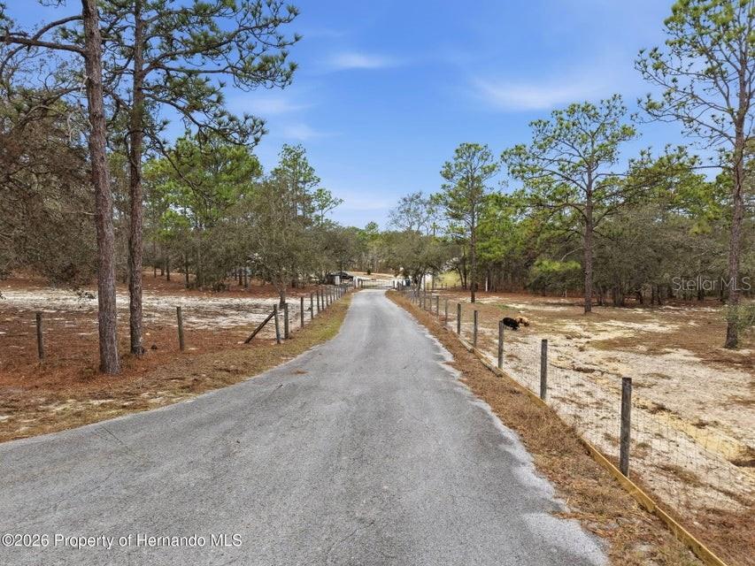 Listing photo id 69 for 12124 Squeeze Avenue