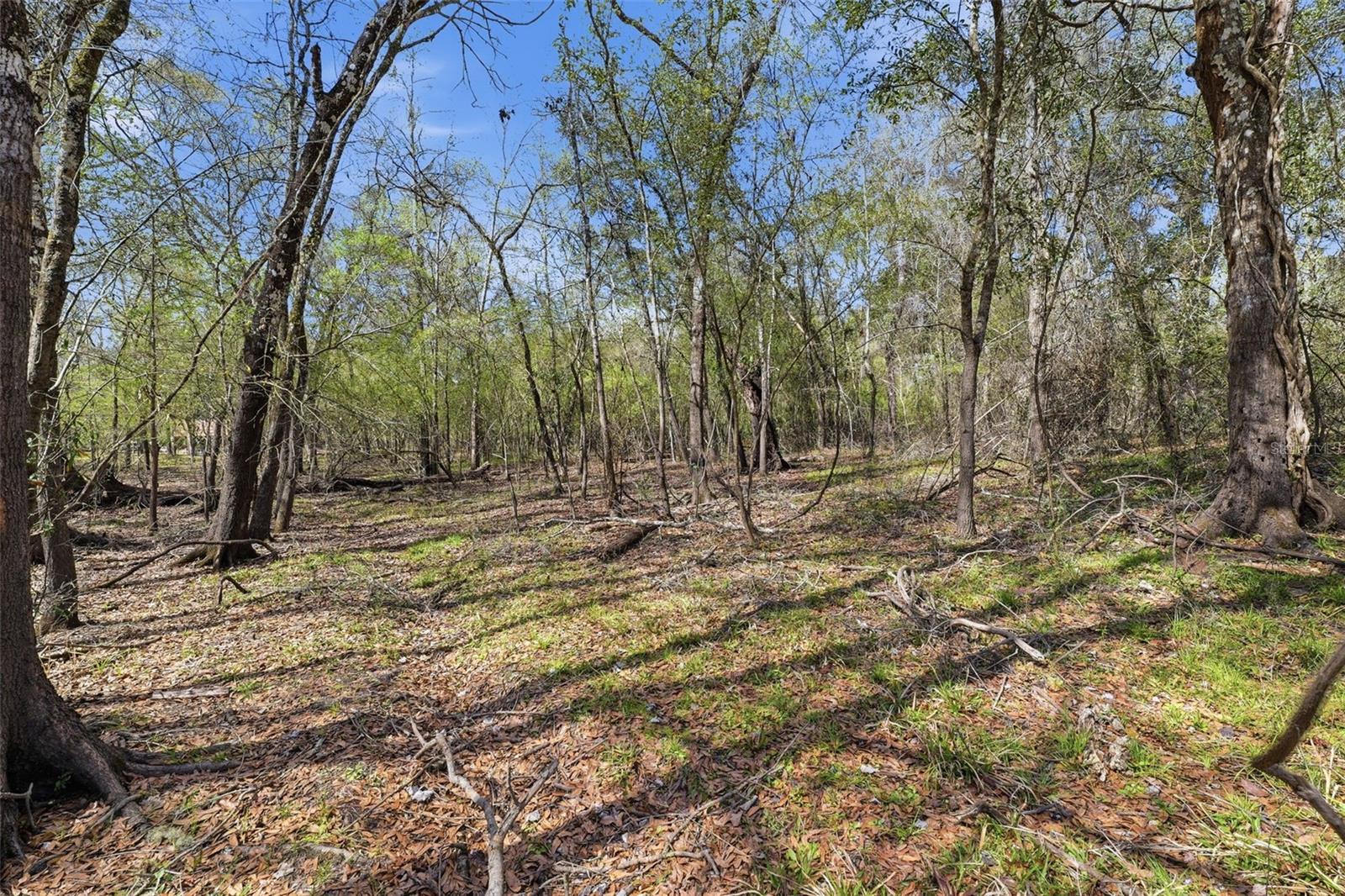 Image 16 of 17 For Address Not Provided