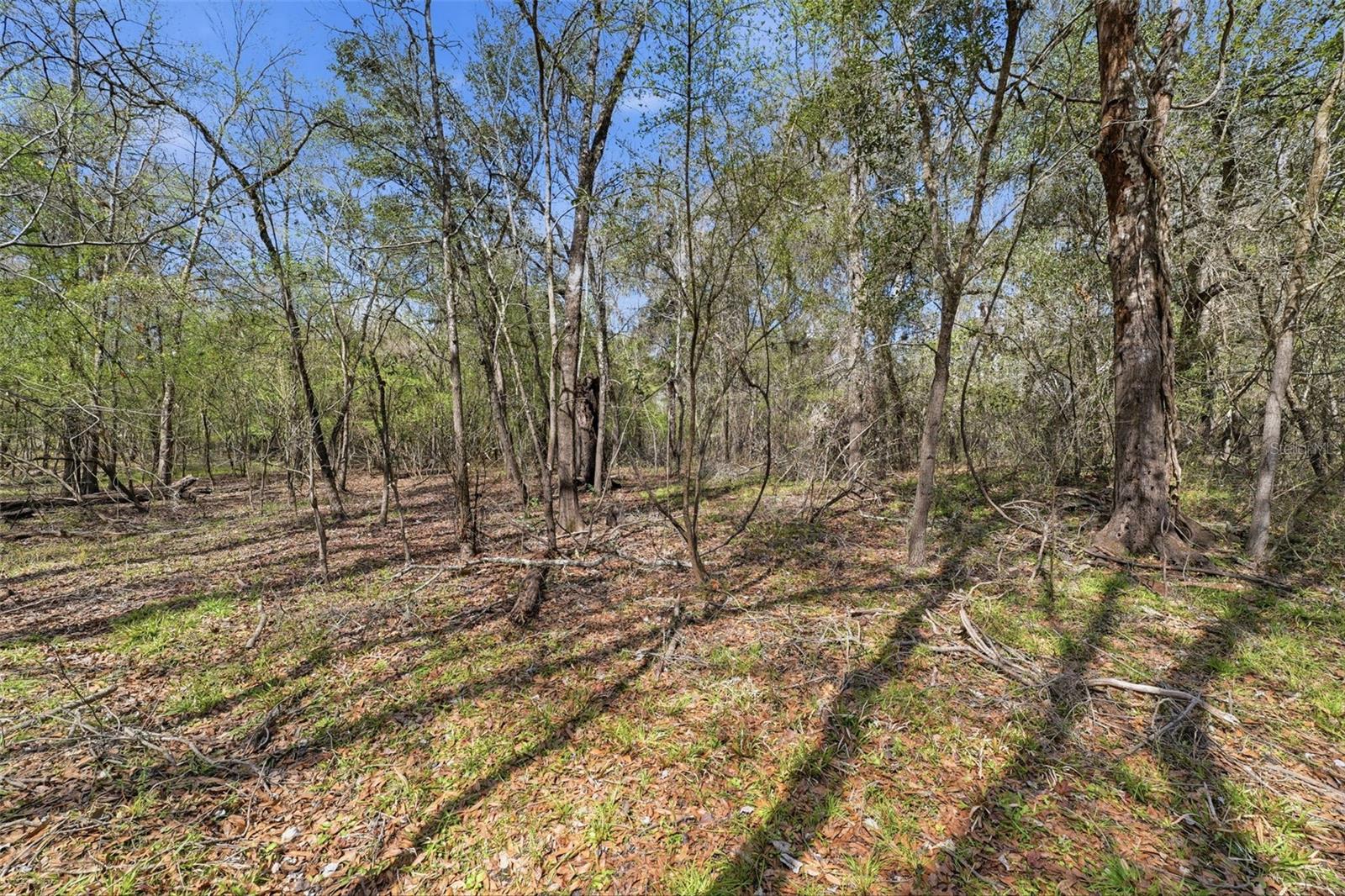 Image 17 of 17 For Address Not Provided