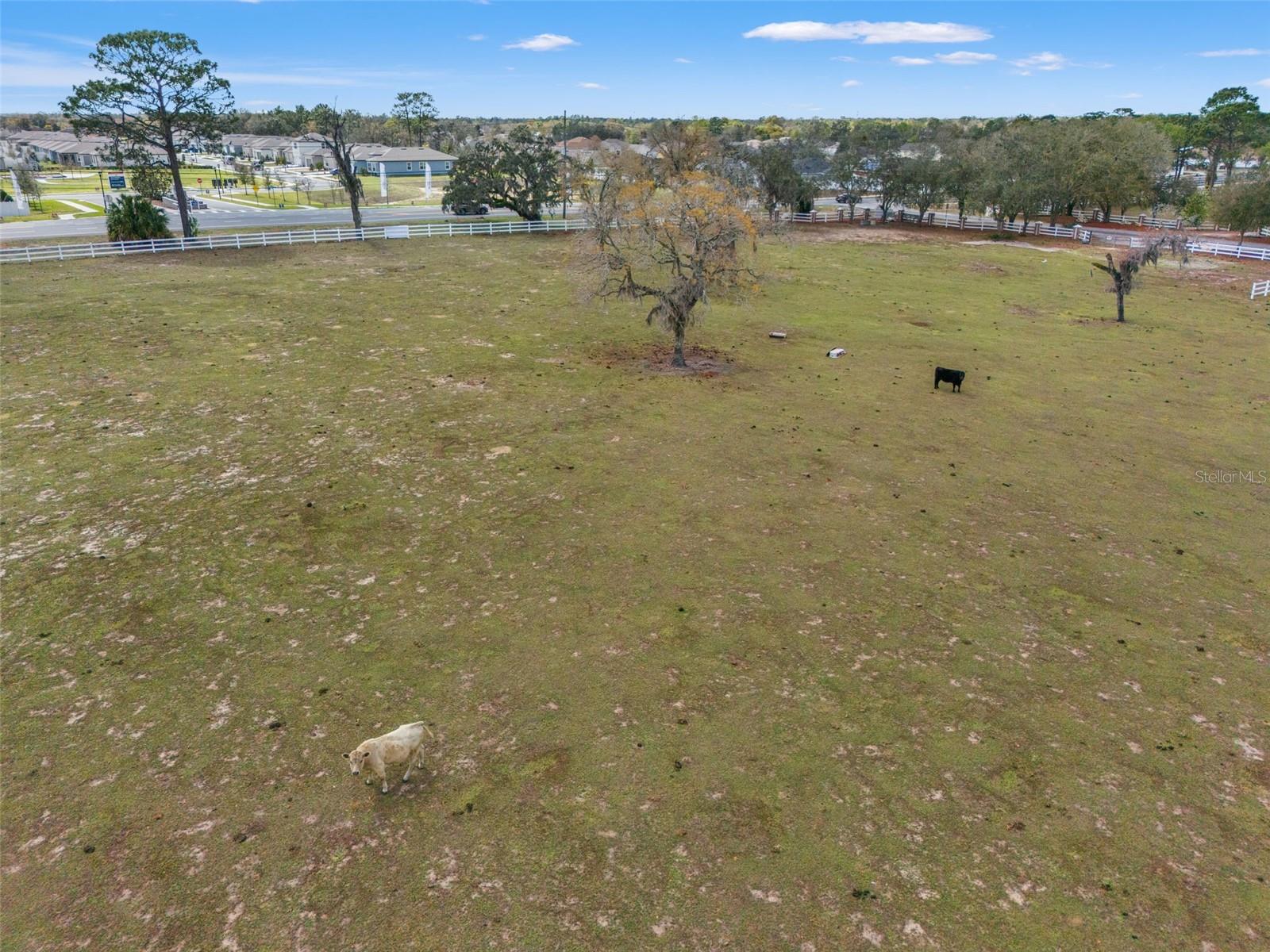 Image 14 of 53 For 0 Gloucester Road