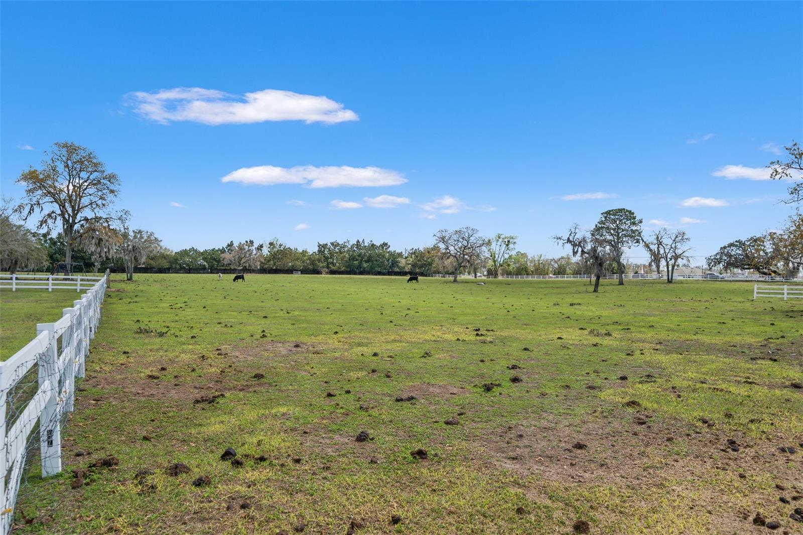 Image 27 of 53 For 0 Gloucester Road