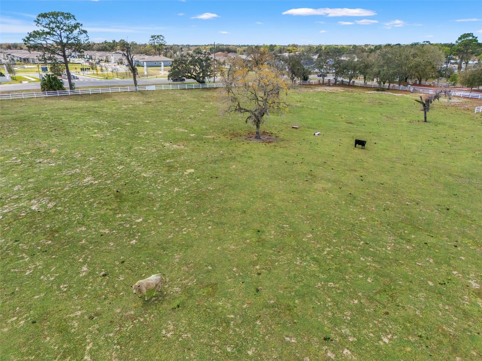 Image 39 of 53 For 0 Gloucester Road