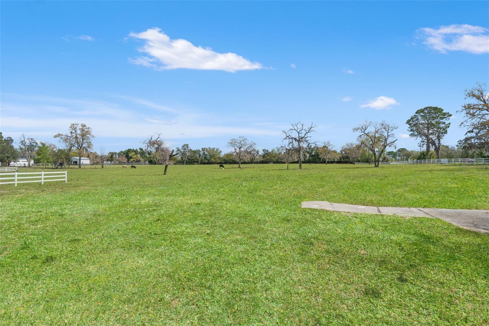 Image 42 of 53 For 0 Gloucester Road