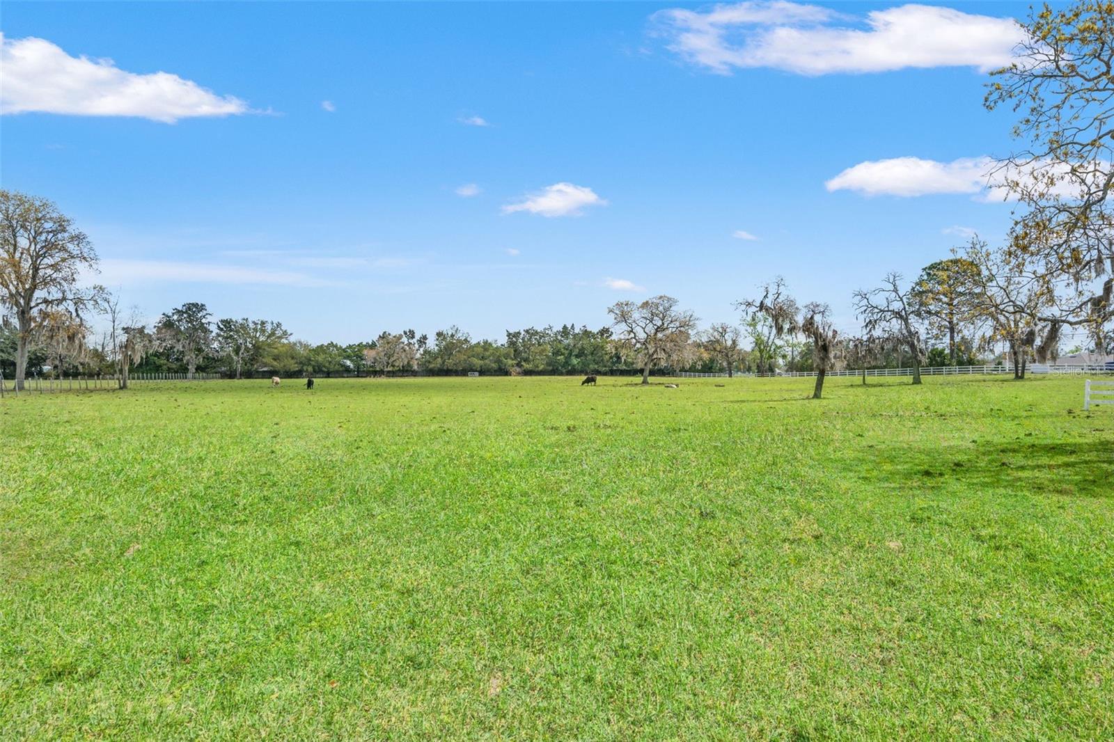 Image 43 of 53 For 0 Gloucester Road