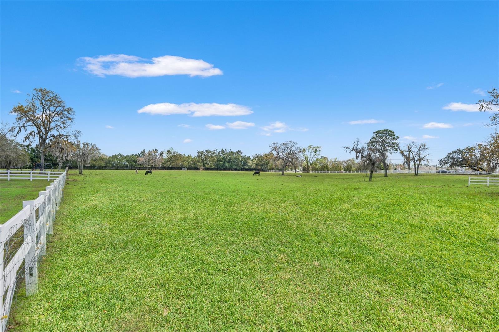 Image 44 of 53 For 0 Gloucester Road