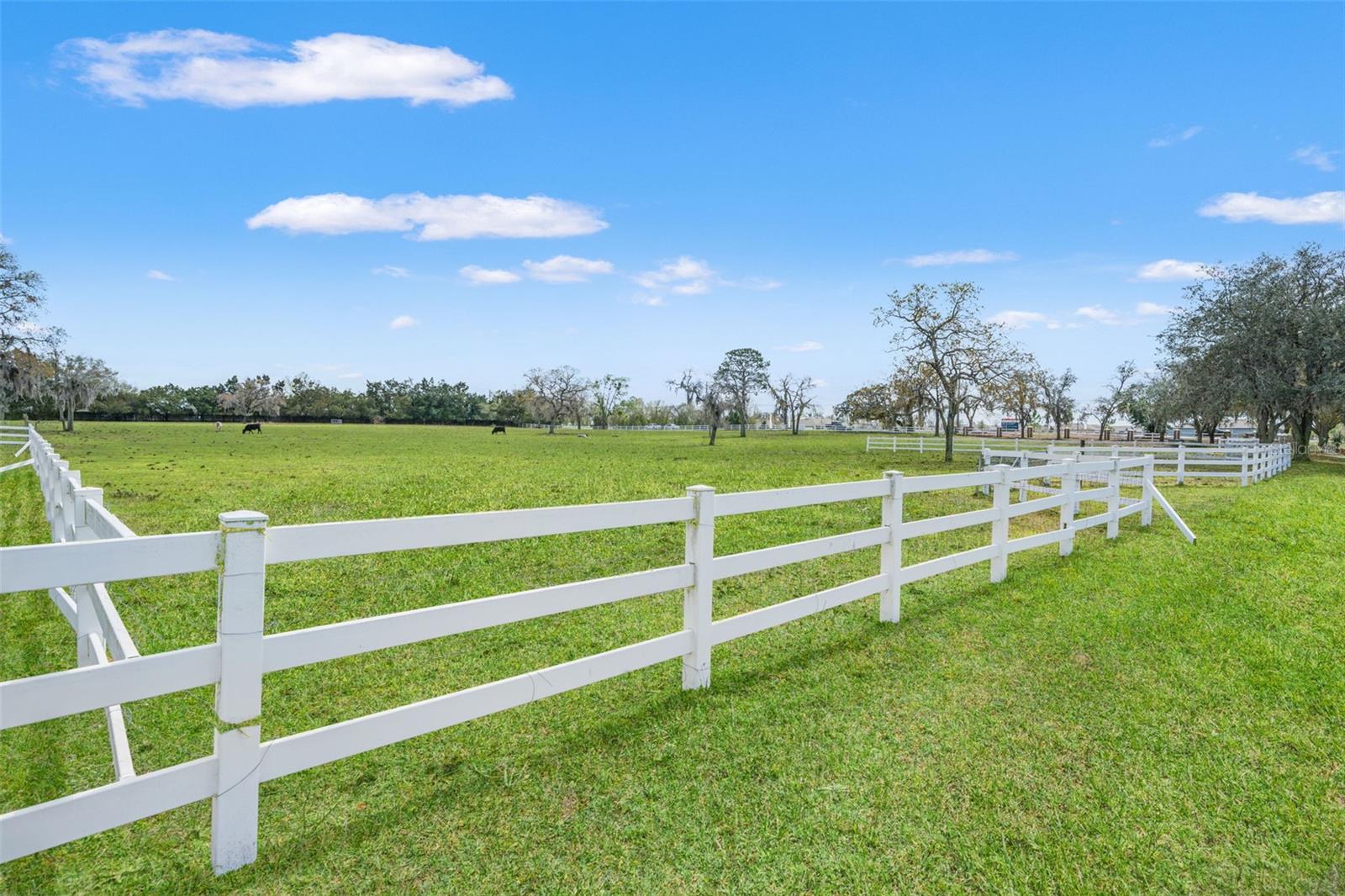 Image 49 of 53 For 0 Gloucester Road