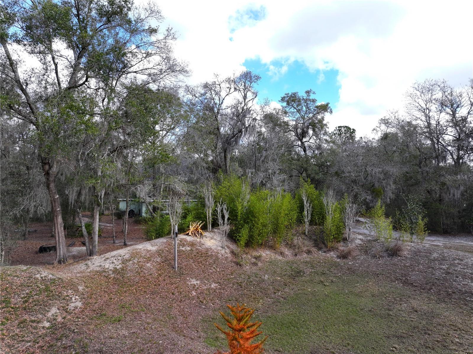 Image 42 of 54 For 23305 June Bug Trail