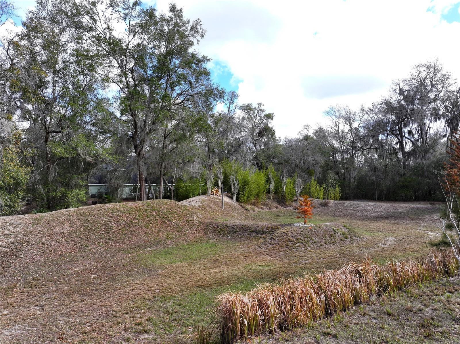 Image 43 of 54 For 23305 June Bug Trail