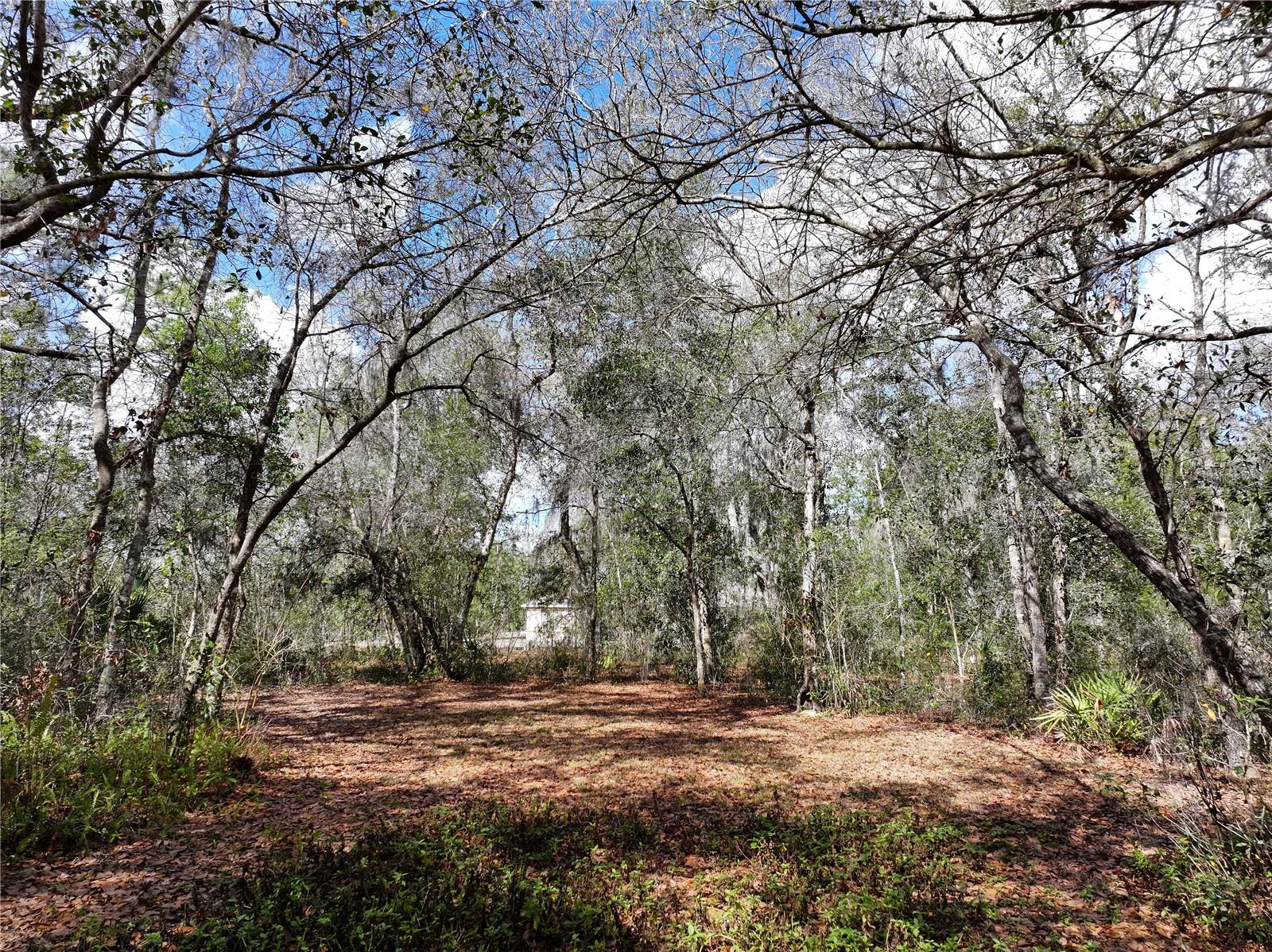 Image 50 of 54 For 23305 June Bug Trail