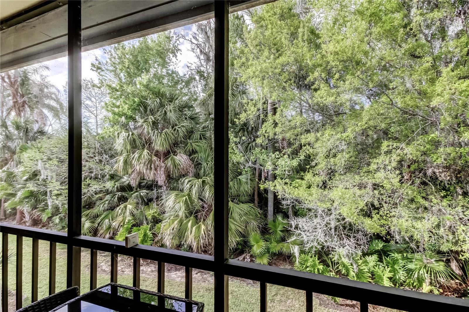 Image 17 of 21 For 122 Cypress Lane