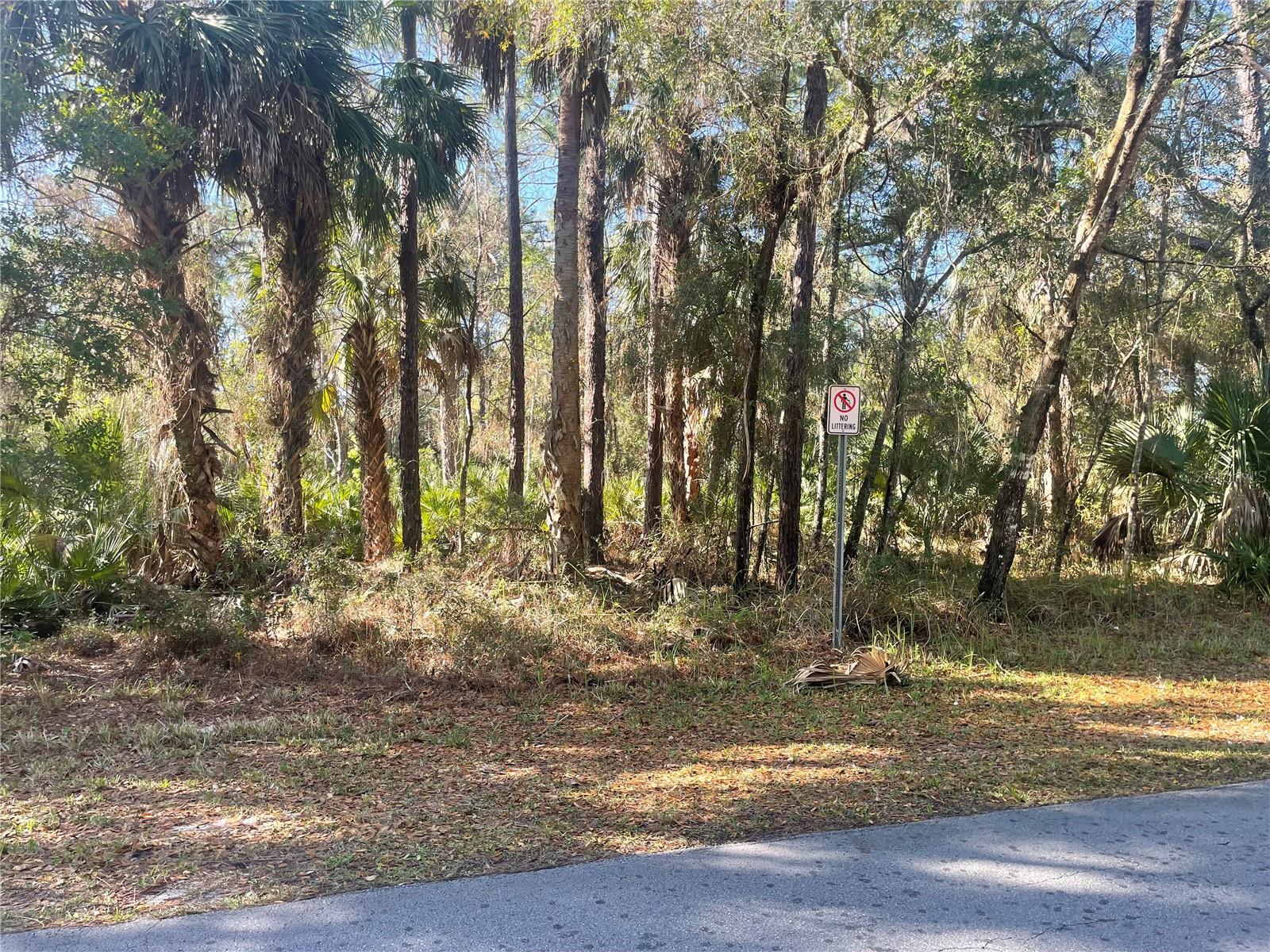 Image 3 of 5 For 1120 3rd Street