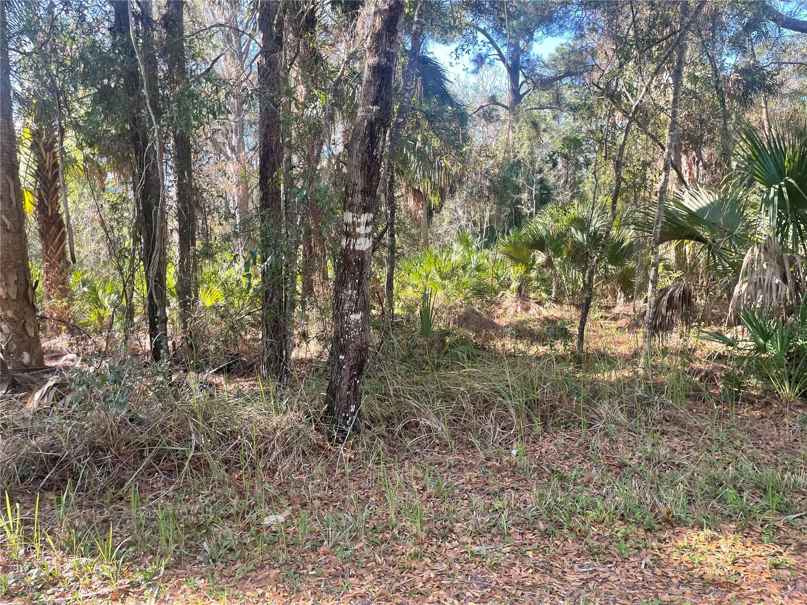 Image 4 of 5 For 1120 3rd Street