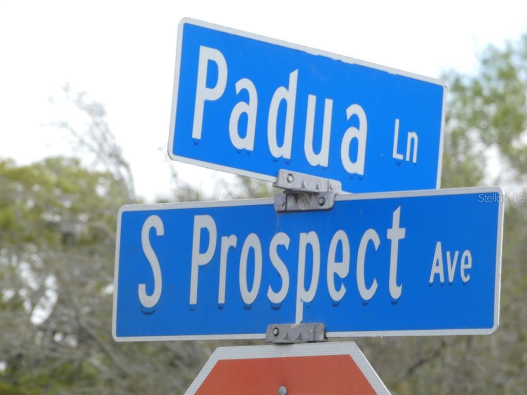 Image 27 of 34 For 830 Padua Lane