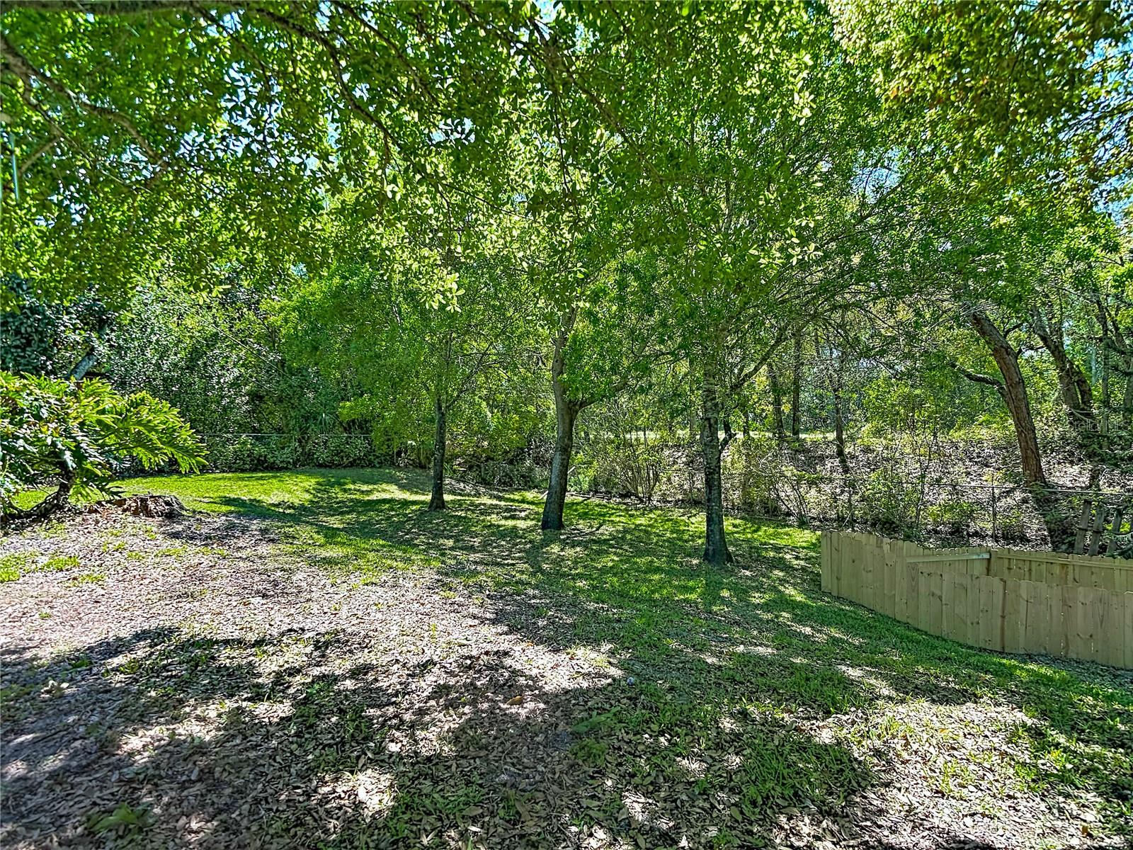 Image 54 of 58 For 13001 Sandburst Lane