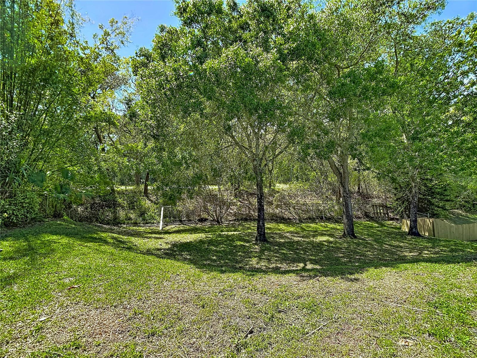 Image 57 of 58 For 13001 Sandburst Lane