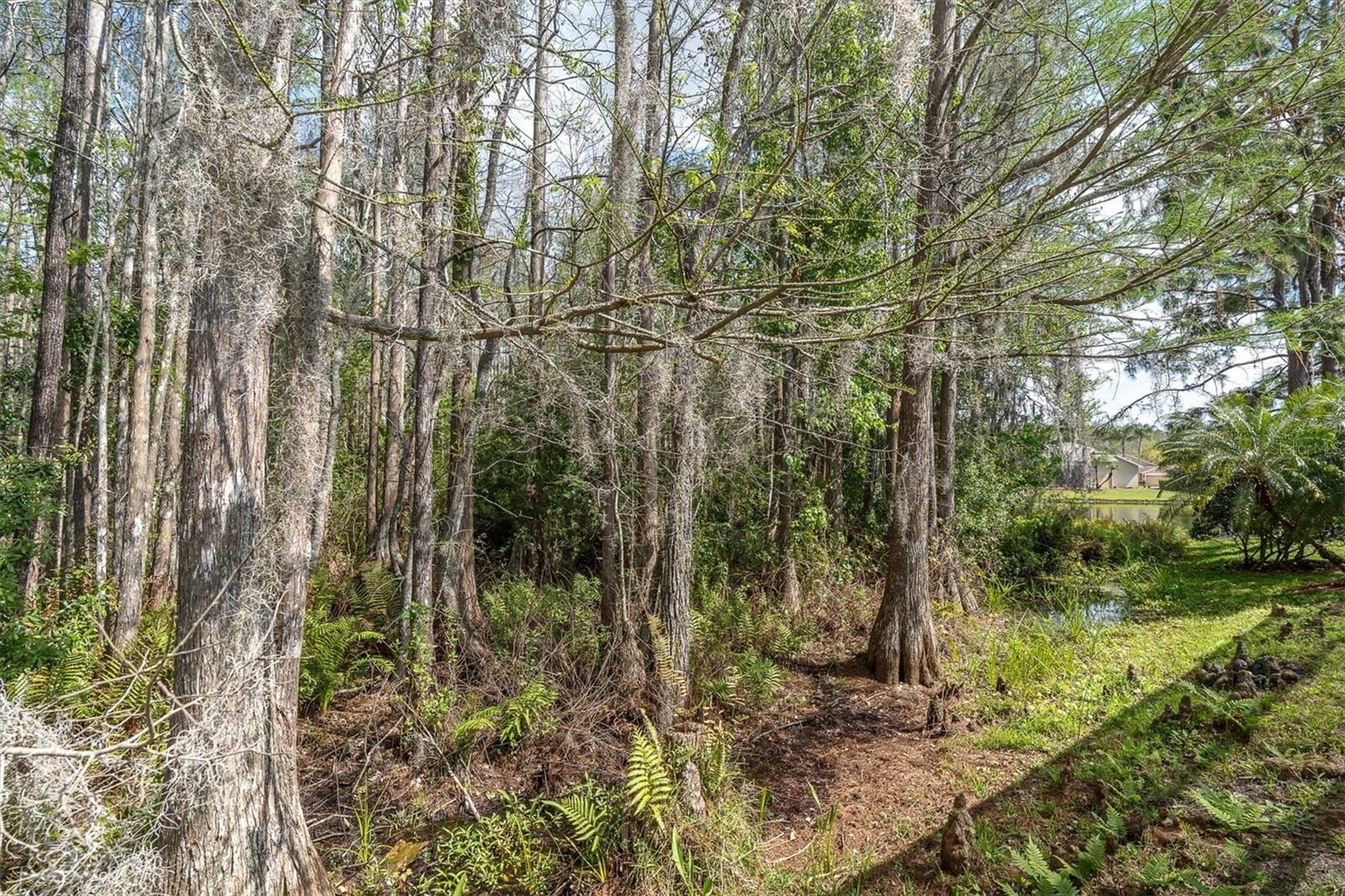 Listing photo id 29 for 1122 Maravista Drive