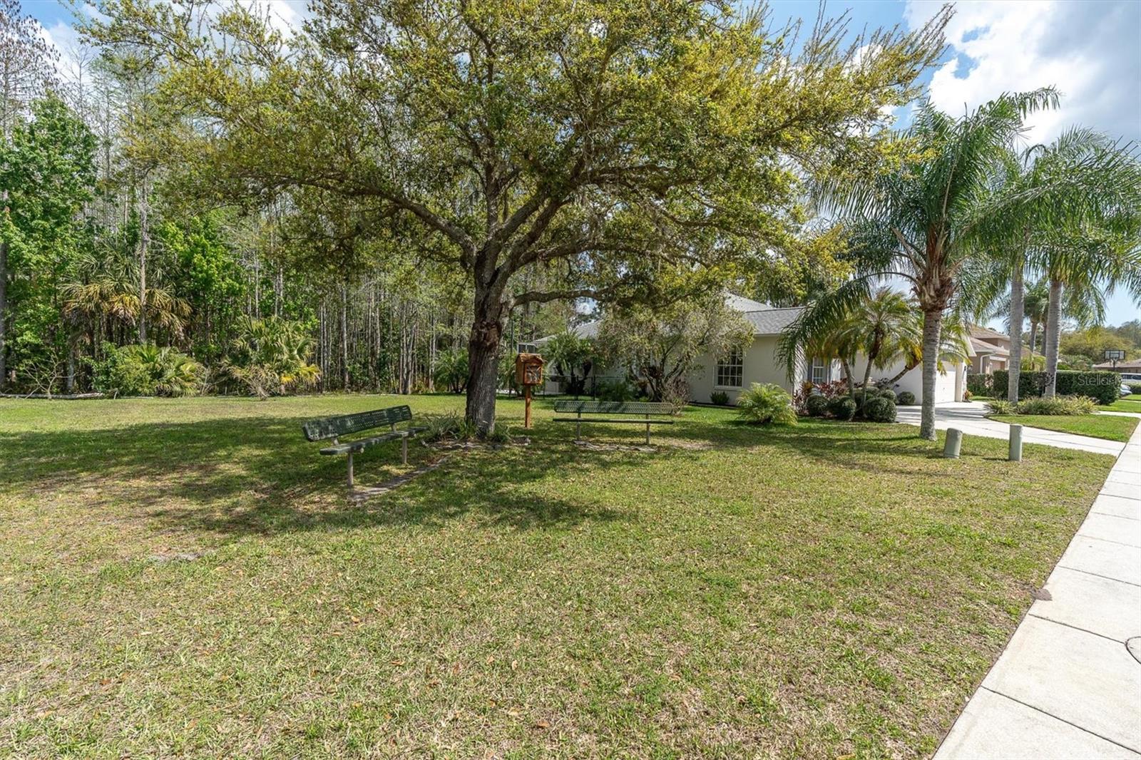 Listing photo id 30 for 1122 Maravista Drive