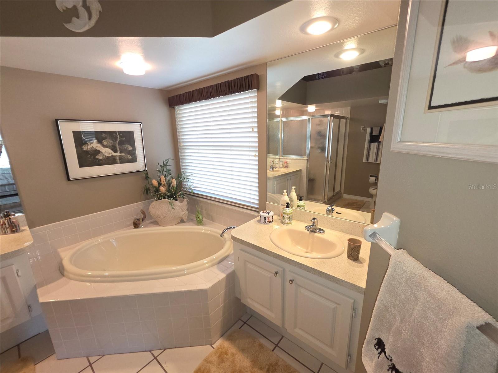 Image 19 of 35 For 2482 Silkwood Court