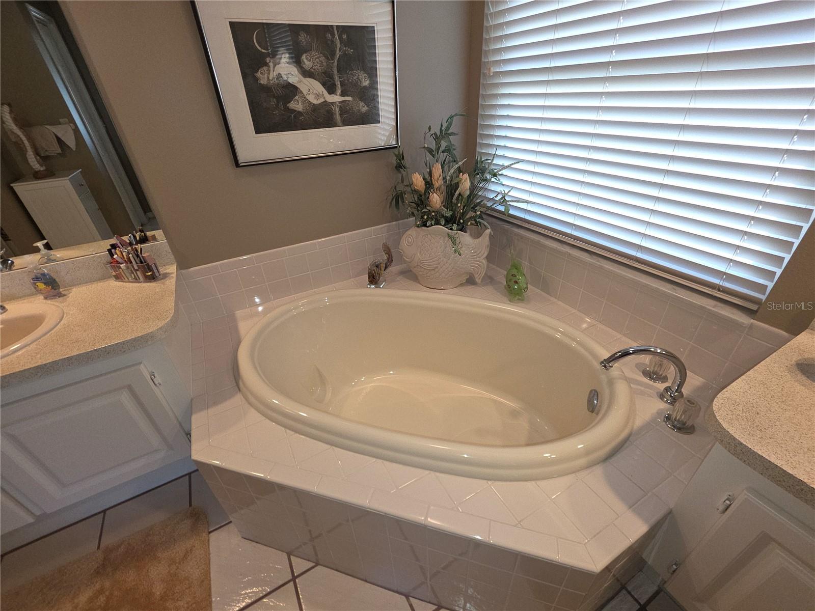 Image 20 of 35 For 2482 Silkwood Court