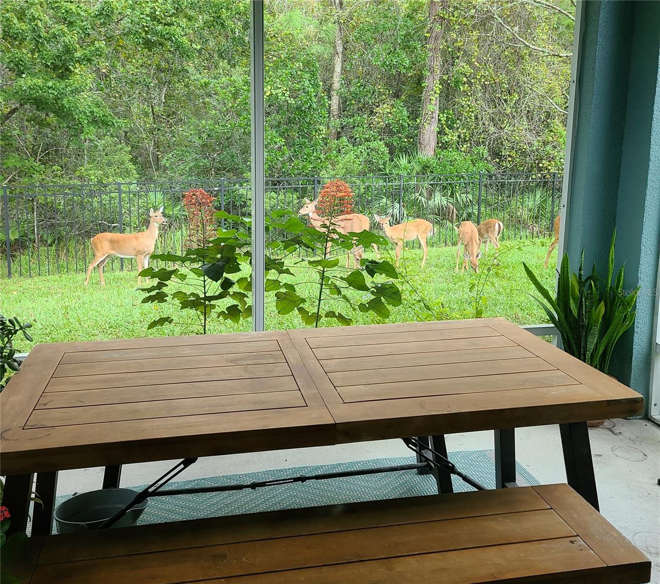 Image 4 of 50 For 11150 Paradise Point Way