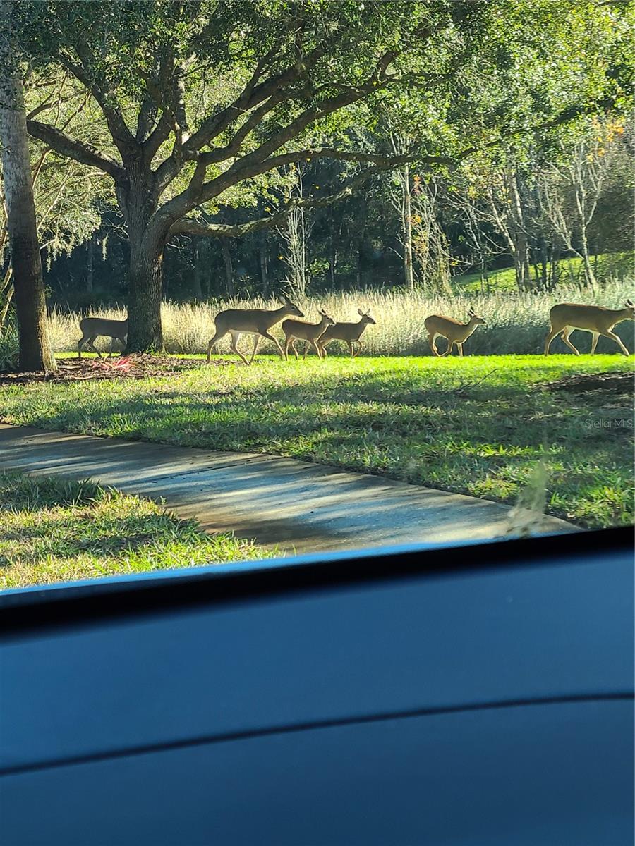 Image 48 of 50 For 11150 Paradise Point Way