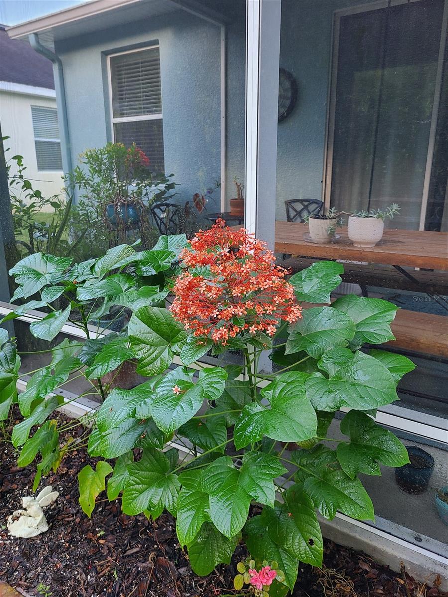 Image 49 of 50 For 11150 Paradise Point Way