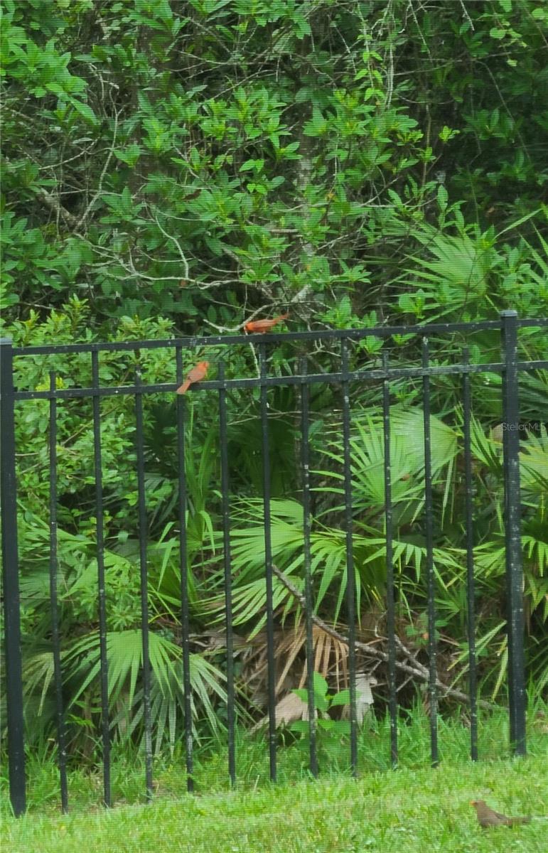 Image 50 of 50 For 11150 Paradise Point Way