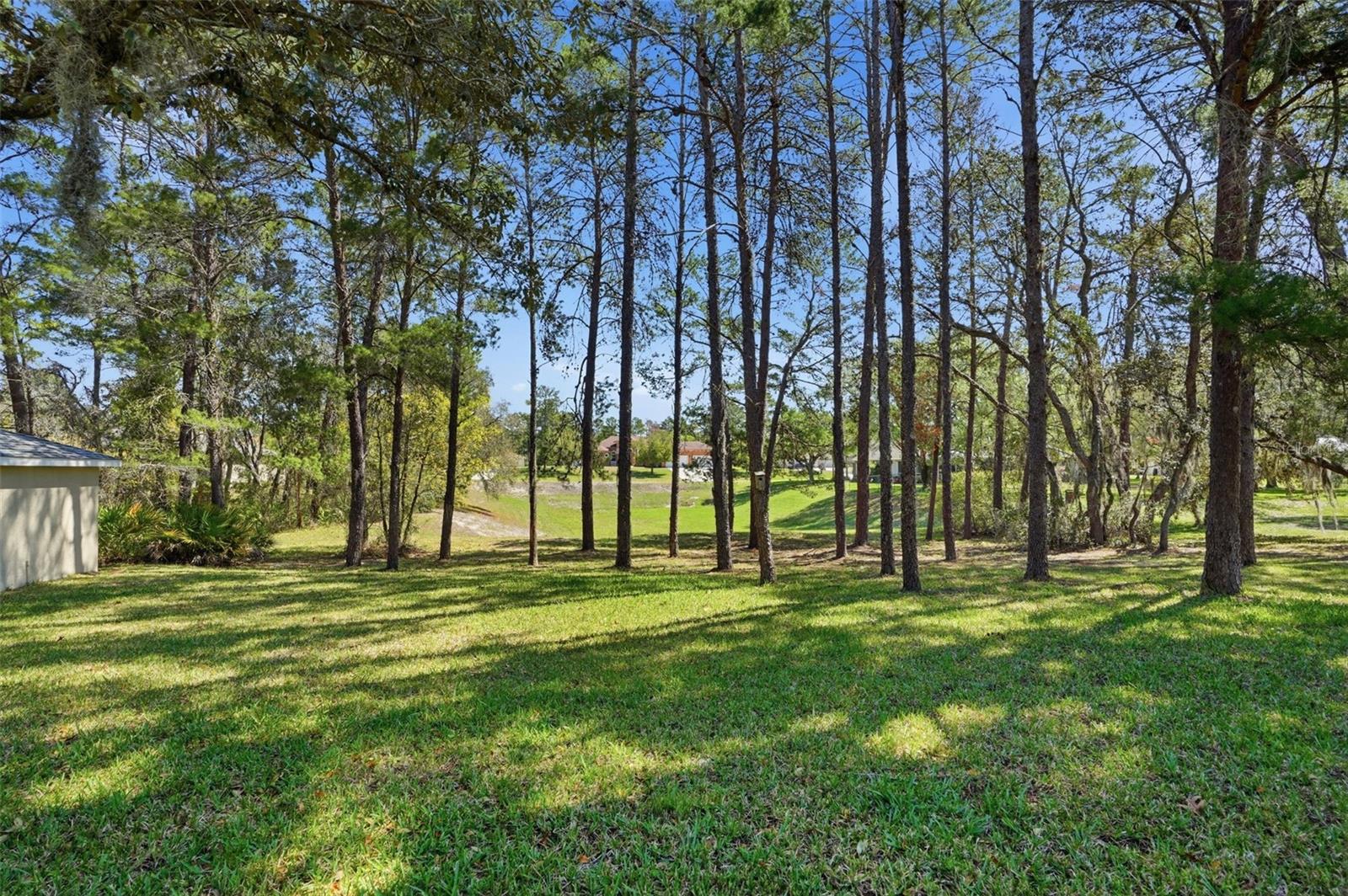 Image 58 of 73 For 11033 Baywind Court