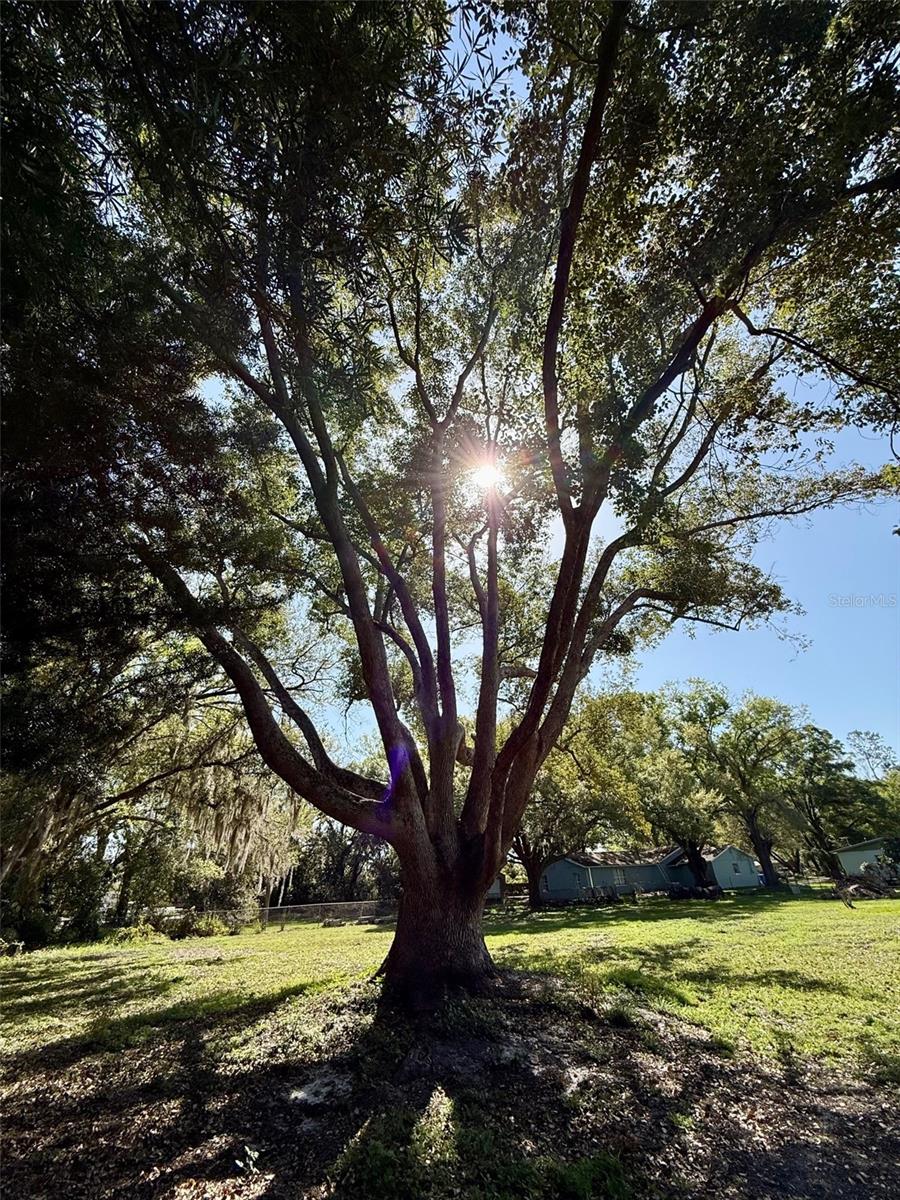 Image 35 of 39 For 5121 Rawls Road