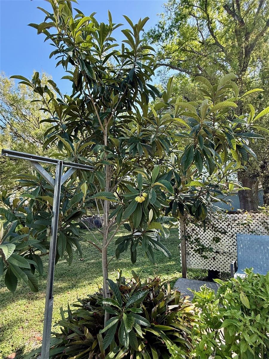 Image 37 of 39 For 5121 Rawls Road