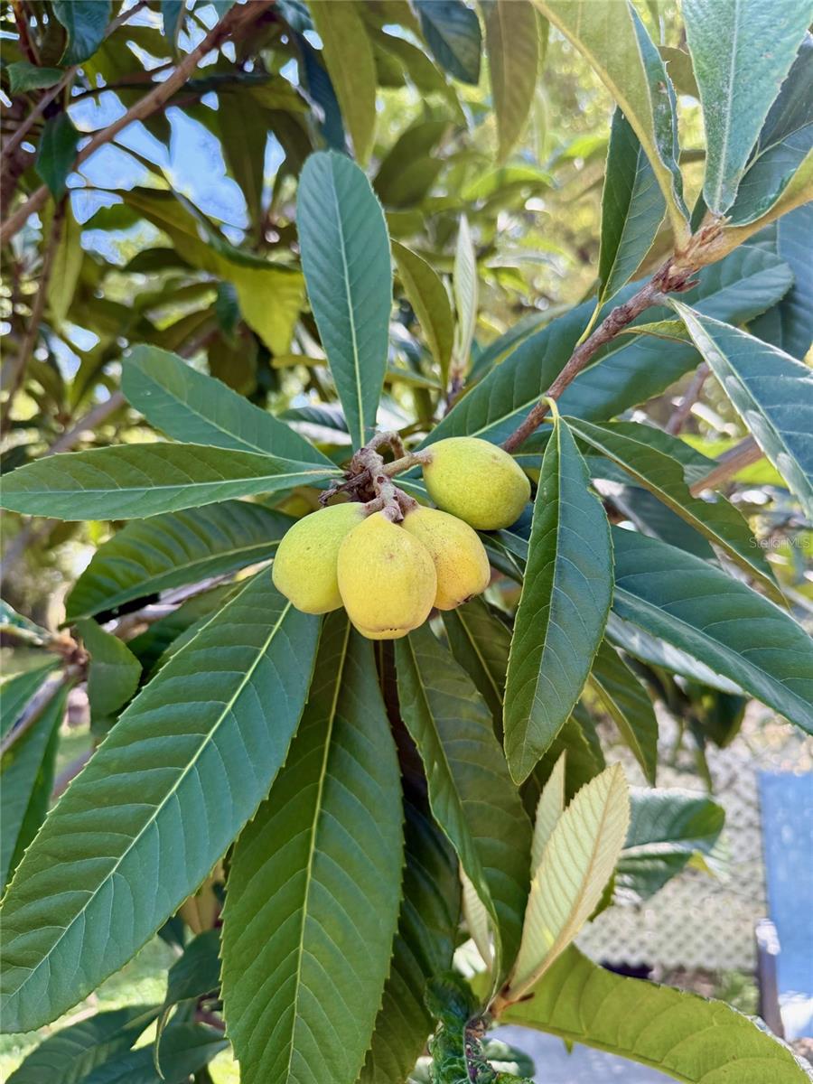 Image 38 of 39 For 5121 Rawls Road